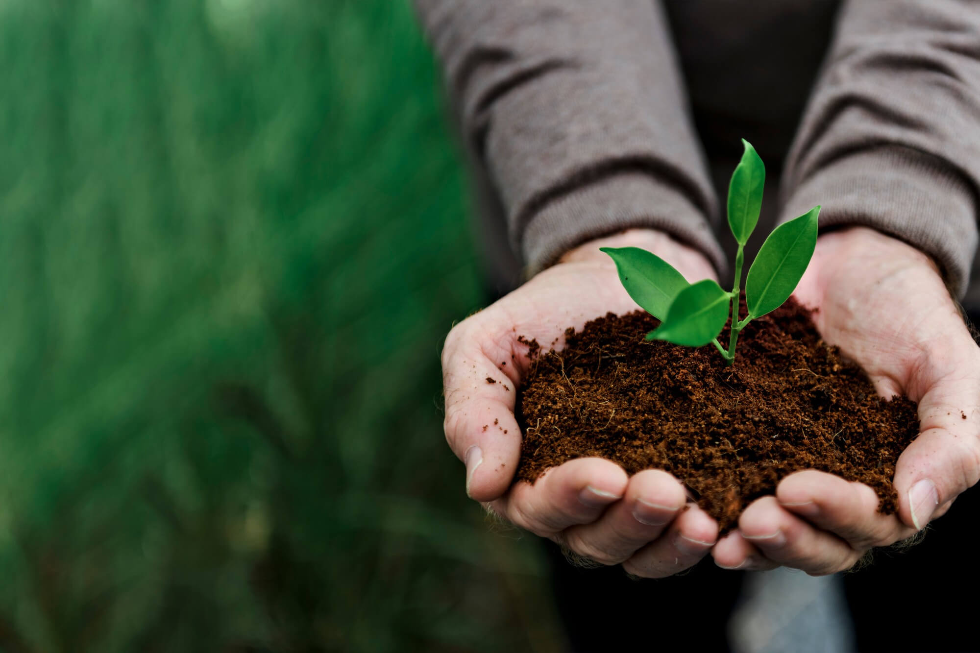 innovazione sostenibile con le soluzioni aneco a basso impatto ambientale