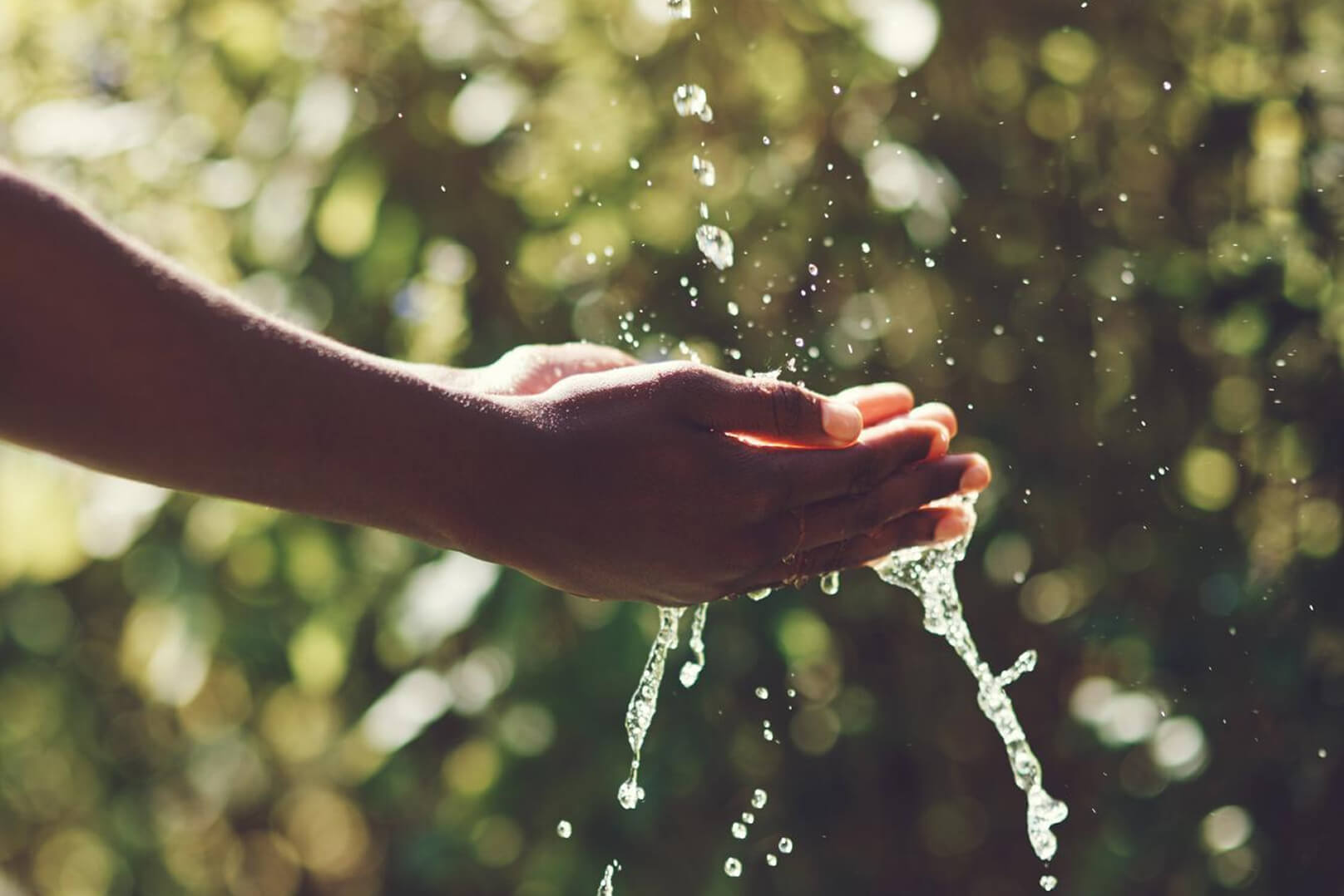 acqua fonte di vita - aneco rende l'acqua accessibile